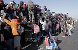 Liên hợp quốc kêu gọi thể hiện tình đoàn kết với những người di cư