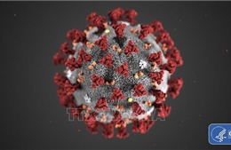 Chuyên gia Philippines cảnh báo virus SARS-CoV-2 đột biến ở người chưa tiêm vaccine