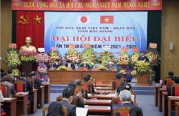 Thúc đẩy hơn nữa quan hệ hợp tác toàn diện Việt Nam - Nhật Bản
