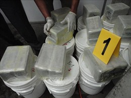 El Salvador thu giữ 4,1 tấn cocain