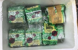 Phát hiện 20kg nghi ma túy trôi dạt vào bờ biển Bà Rịa-Vũng Tàu