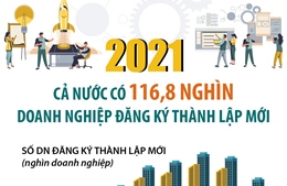 Năm 2021, cả nước có 116,8 nghìn doanh nghiệp đăng ký thành lập mới