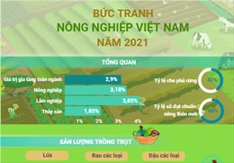 Bức tranh nông nghiệp Việt Nam năm 2021