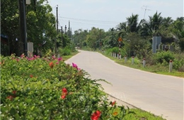 Đồng Nai có 65 xã nông thôn mới nâng cao, kiểu mẫu