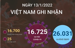 Ngày 13/1/2022, Việt Nam ghi nhận 16.725 ca mắc COVID-19