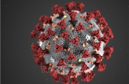 Ưu việt của phương pháp giải trình tự gene nước thải theo dõi các biến thể của virus SARS-CoV-2