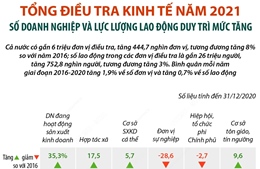 Tổng điều tra kinh tế năm 2021: Số lượng và lao động của các đơn vị điều tra