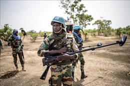 Các lệnh trừng phạt gây khó khăn cho hoạt động gìn giữ hòa bình của LHQ tại Mali