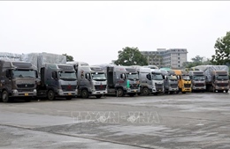 Hỗ trợ lái xe chở hàng đường dài đón Tết tại Cửa khẩu Lào Cai