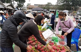 Hà Nội tăng cường quản lý kinh doanh trái cây dịp Tết Nguyên đán