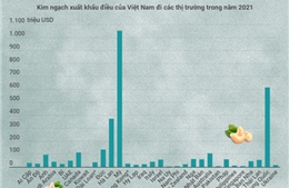 Các thị trường xuất khẩu chính của điều Việt Nam