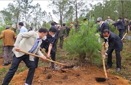 Thừa Thiên - Huế tổ chức lễ phát động phong trào &#39;Tết trồng cây&#39; 