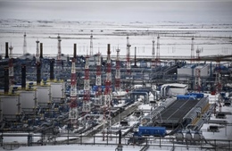 Tổng thống Nga: Dầu, khí đốt vẫn còn được sử dụng trong vài thập kỷ nữa