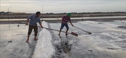 Diện tích sản xuất muối ngày càng bị thu hẹp