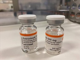 Đánh giá hiệu quả của thuốc Sotrovimab đối với biến thể &#39;Omicron tàng hình&#39;