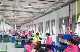 Nghệ An: Công nhân Công ty Trách nhiệm hữu hạn Viet Glory đã đi làm trở lại