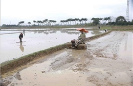 Nông nghiệp thúc đẩy sản xuất đảm bảo mục tiêu quý I