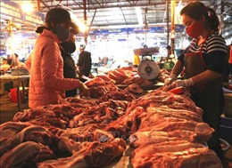 Hà Nội: Sẽ lấy mẫu xét nghiệm nhanh thực phẩm hàng ngày tại chợ