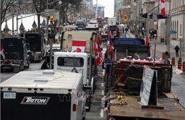Chính phủ Canada hỗ trợ các doanh nghiệp bị ảnh hưởng bởi cuộc biểu tình ở thủ đô