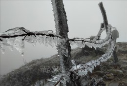 Nhiệt độ xuống dưới 0 độ C, băng giá xuất hiện trên diện rộng ở Cao nguyên đá Đồng Văn