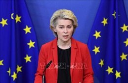 Chủ tịch EC đánh giá triển vọng gia nhập EU của Ukraine