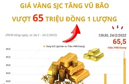 Giá vàng SJC tăng vũ bão, vượt mốc 65 triệu đồng/lượng