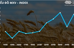 Bản tin MXV 1/3: Thị trường nông sản khởi sắc, giá heo hơi tiếp tục hạ nhiệt