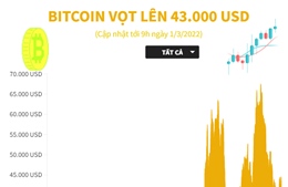 Bitcoin bất ngờ vọt lên 43.000 USD