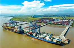 Cảng biển Hải Phòng hướng tới mục tiêu đón 100 triệu tấn hàng