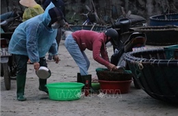 Đà Nẵng: Phát hiện vụ đổ chất lỏng màu đỏ vào ruốc 