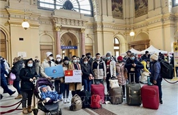 Đại sứ quán Việt Nam tại Hungary tiếp nhận 290 người Việt từ Ukraine tới lánh nạn