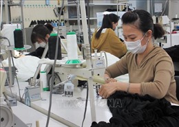 Doanh nghiệp Nhật Bản hỗ trợ người Việt tìm việc làm trong đại dịch