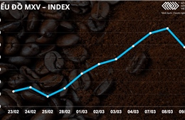 Bản tin MXV 10/3: Giá dầu đảo chiều, giảm hơn 12%