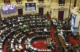 Hạ viện Argentina thông qua dự luật cho phép Tổng thống có quyền lập pháp