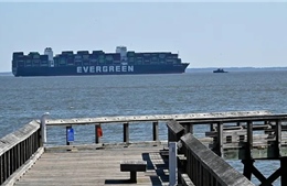 Tàu container lớn bị mắc cạn ở cảng Baltimor của Mỹ