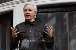 Tòa án Tối cao Anh bác yêu cầu kháng cáo của nhà sáng lập WikiLeaks 