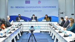 Việt Nam hoan nghênh sự tham gia của EU đối với quá trình phát triển tiểu vùng Mekong
