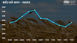 Bản tin MXV 18/3: Giá dầu tăng mạnh, nhóm nông sản cũng khởi sắc