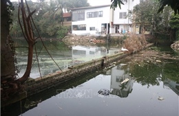 Hà Nội: Giải quyết vướng mắc liên quan giải tỏa mặt bằng hồ câu Xuân Quế, Sơn Thủy