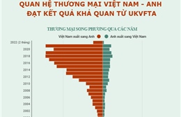 Quan hệ thương mại Việt Nam - Anh đạt kết quả khả quan từ UKVFTA