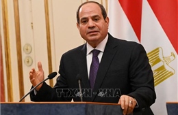 Ai Cập nhấn mạnh tầm quan trọng của hợp tác giữa các nước châu Phi