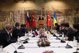 Nga đánh giá cao nỗ lực của Thổ Nhĩ Kỳ thúc đẩy hòa đàm về vấn đề Ukraine