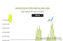 Giá Bitcoin tiến gần 46.000 USD