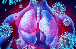 Nghiên cứu về tác động của COVID-19 đối với chức năng phổi của người trẻ