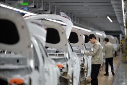 Hàn Quốc: 5 hãng ô tô triệu hồi gần 8.500 xe để sửa chữa các bộ phận bị lỗi
