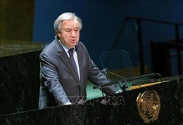 Tổng Thư ký Liên hợp quốc đề nghị gặp lãnh đạo Nga, Ukraine