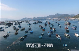 Khánh Hòa: Không tổ chức các hoạt động du lịch tại hai đảo Bình Ba và Bình Hưng