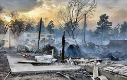 Mỹ: Cháy rừng tại bang New Mexico làm 166 ngôi nhà bị thiêu rụi