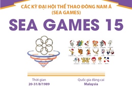 Thông tin về Đại hội thể thao Đông Nam Á lần thứ 15 (SEA Games 15)