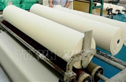 Indonesia khởi xướng điều tra gia hạn tự vệ với sợi vải nhập khẩu 